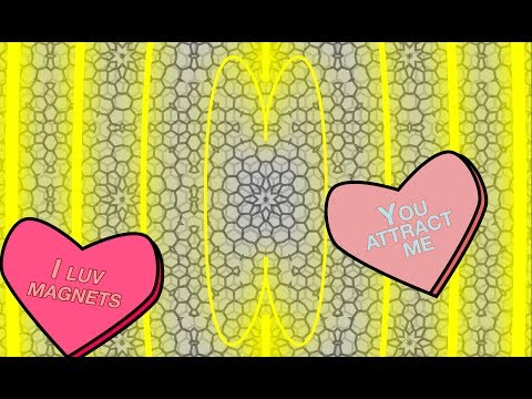 That’s a Moiré! A Science Love Story from the National MagLab