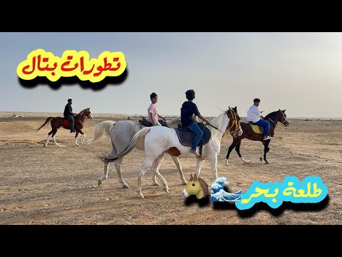 بتال طالع مع سعد البحر وأخيرا يابتال قافله معاه بس يجاملنا