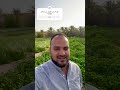 هل اشجار السدر افضل من الطلح اكسبلور  