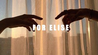 Saint Motel - For Elise 【ESPAÑOL】