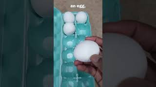 Feeding My Fish Scrambled Eggs!