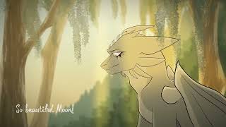 "Perfect" - PMV -