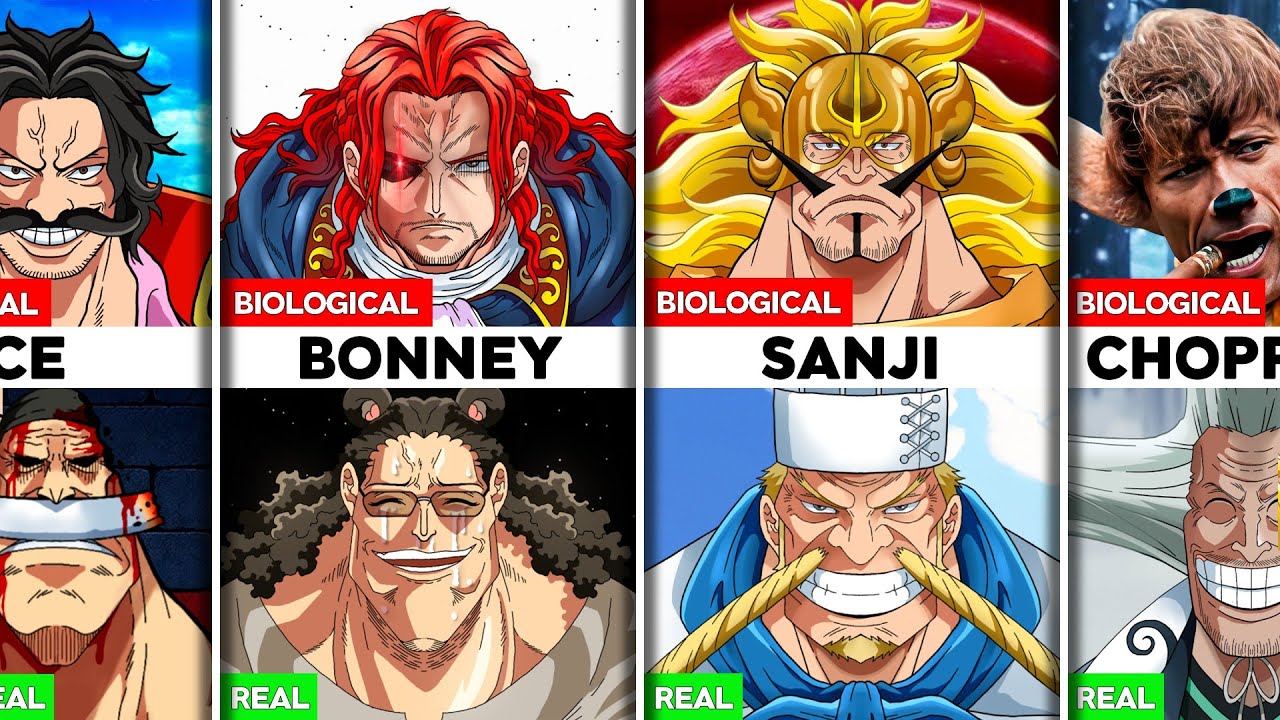 Biological vs Real Parents in One Piece (All Parents & Families in One Piece Explained)
