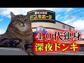 【猫ミーム】40代独身　1人で深夜ドンキ