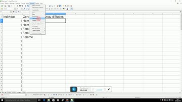 1- Dépouillement questionnaire sous CALC