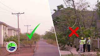 NEMSA's RESPONSIBILITIES