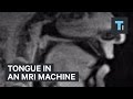 Tongue in a MRI machine