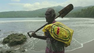 جزر سليمان: الخشب للأشجار