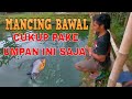 mancing bawal dikolam tetap setia pakai umpan jitu cacing kalung masih merasakan sensasi strike