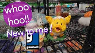 New to Me Goodwill! - Shop Along With Me - Goodwill Thrift Stores
