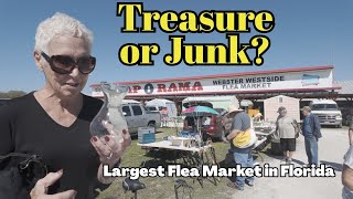 Discovering AMAZING Treasures at the Webster Florida Swap Meet | RV Travel