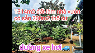 Đất làm nhà vườn giá rẻ| Diện tích 1314m2 trong đó có 200m2 thổ cư| SHR, LH: 0339.665.442