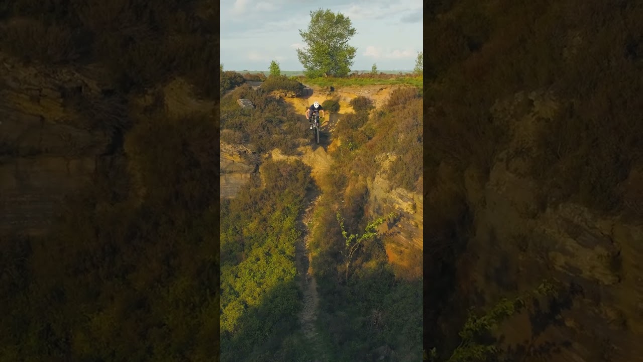 Single Pivot Perfection 