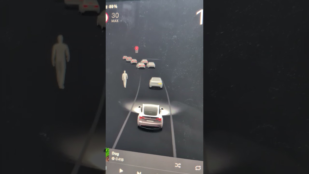 Tesla 3D Indicator 