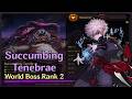 [DFO] World Boss Succumbing Tenebrae Rank 2 Clear (Glacial Master)