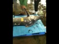 かじきマグロが