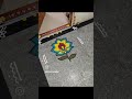 #dailyrangoli #rangoli #art #kolam #flowerrangoli