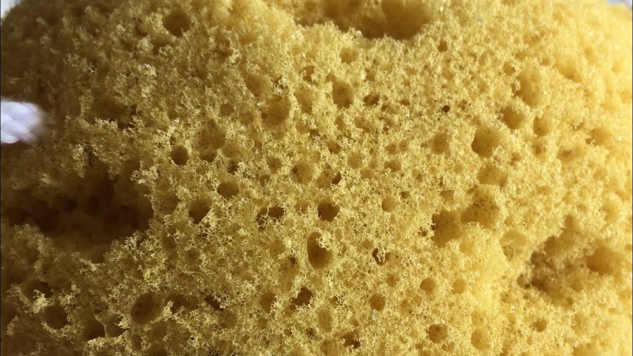 Natural bath sponge scratching asmr korea