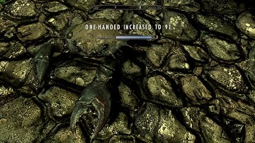 Skyrim - Cheat Room: Mimicking Player Leveling