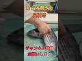 カツオ捌き方#short #shorts #new #fish #japan #howto #おすすめ #簡単 #料理 #釣り #楽しい #美味しい #チャレンジ #ミッション