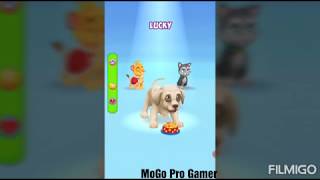 Dog_Run - Pet_Dog_Simulator -  Android Gameplay for Kids Full !!HD!! screenshot 4