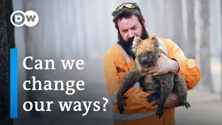 Climate Anxiety Too Little Too Late  To The Point