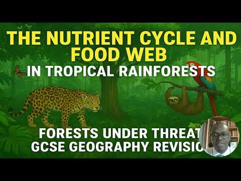 The Nutrient Cycle and Food Webs in the Tropical Rainforests Forests Under Threat GCSE Revision