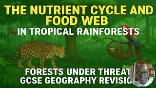 The Nutrient Cycle and Food Webs in the Tropical Rainforests | Forests Under Threat | GCSE Revision