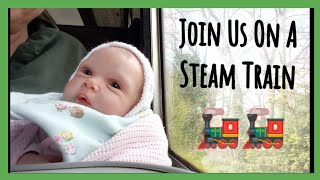 Reborn Mums Meet Up Babies and Mums SW Railway Trip Adventure