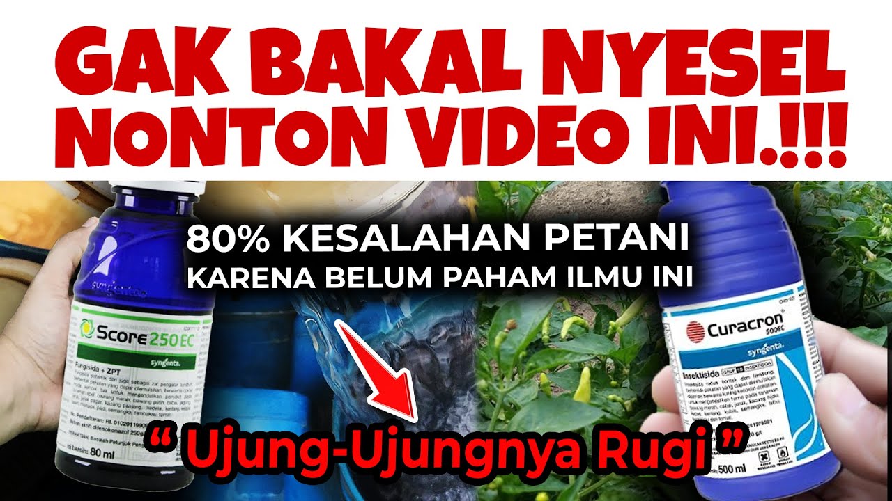 80% PETANI BELUM PAHAM ILMU INI, WAJAR AJA SALAH ❗❗ Petunjuk Lengkap Insektisida & Fungisida