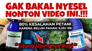 Download Lagu 80% PETANI BELUM PAHAM ILMU INI, WAJAR AJA SALAH ❗❗ Petunjuk Lengkap Insektisida \u0026 Fungisida MP3 Download Lagu 80% PETANI BELUM PAHAM ILMU INI, WAJAR AJA SALAH ❗❗ Petunjuk Lengkap Insektisida \u0026 Fungisida MP3