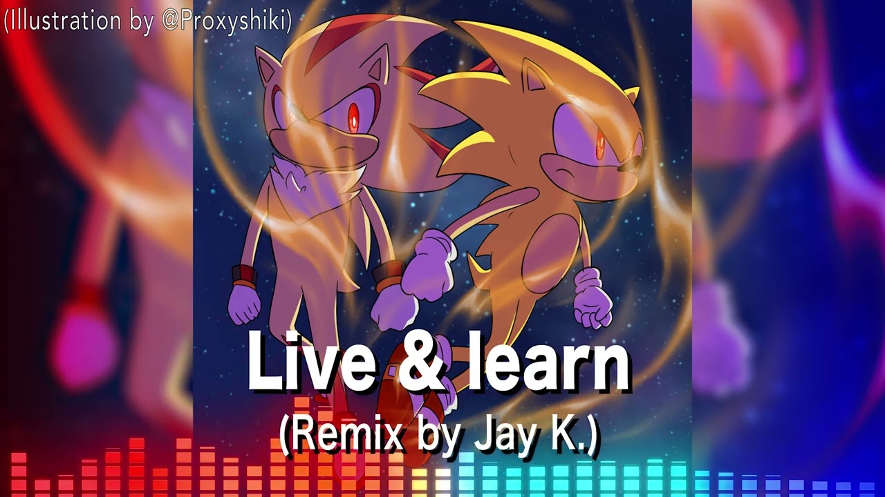 (Privated Sonic Song Remix) 🎵 Live & Learn - Sonic Adventure 2 Remix