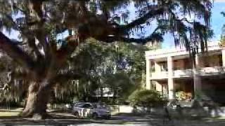 walking tour in Beaufort, South Carolina