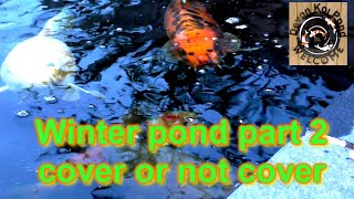 Diy koi pond part 2 cover keeping the water as warm as you can without heating