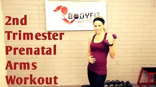 2nd Trimester Arms Prenatal Workout--But Good for All Trimesters!