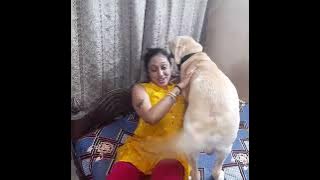 Watch and Enjoy the video Coco loves Mom|Exceptional love| BlogsNepal| #blogger #BlogsNepal