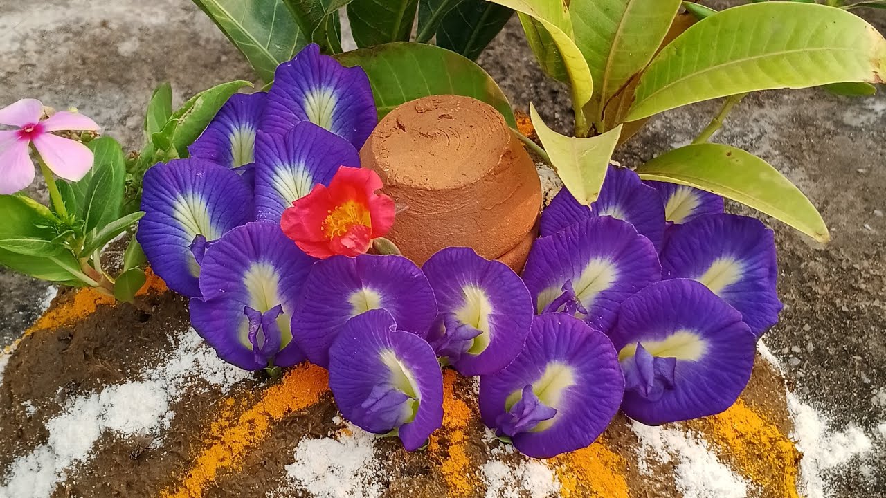 गोवर्धन कैसे बनाएं 2025| गोवर्धन बनाने की सरल विधि, गोवर्धन पूजा विधि, Govardhan kaise banaye