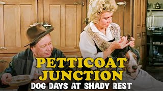 Petticoat Junction | Episode 32 | Dog Days at Shady Rest