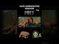 David Attenborough Narrates PREY #PREY #davidattenborough #davidattenborough🐋🦭 #voiceacting #prey