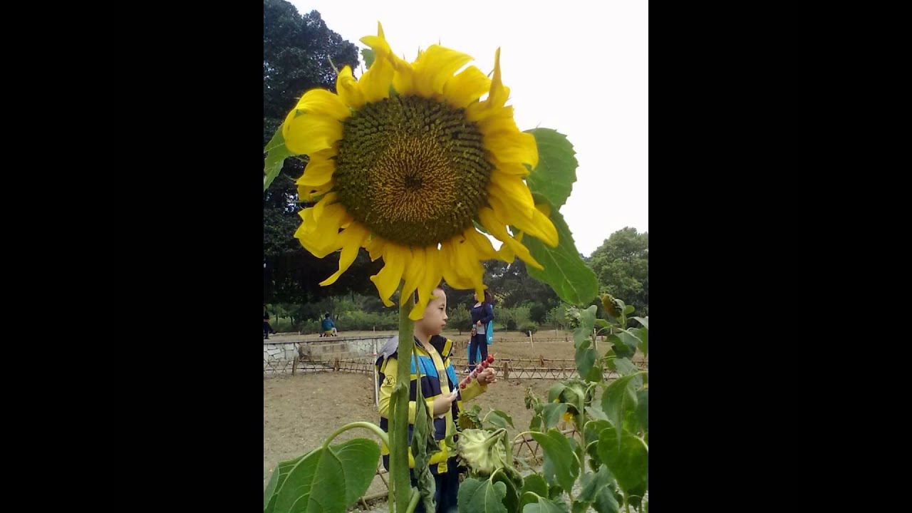 2014 Prom Dresses Under 200 AT Promqueen.net