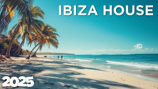Ibiza Chill 2025 - Summer Lounge House Mix 🌞🎶