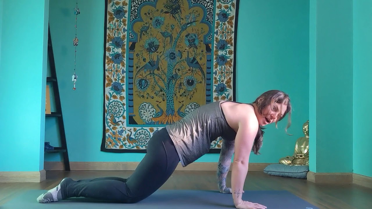 pushup alignment & modification chest & tricep