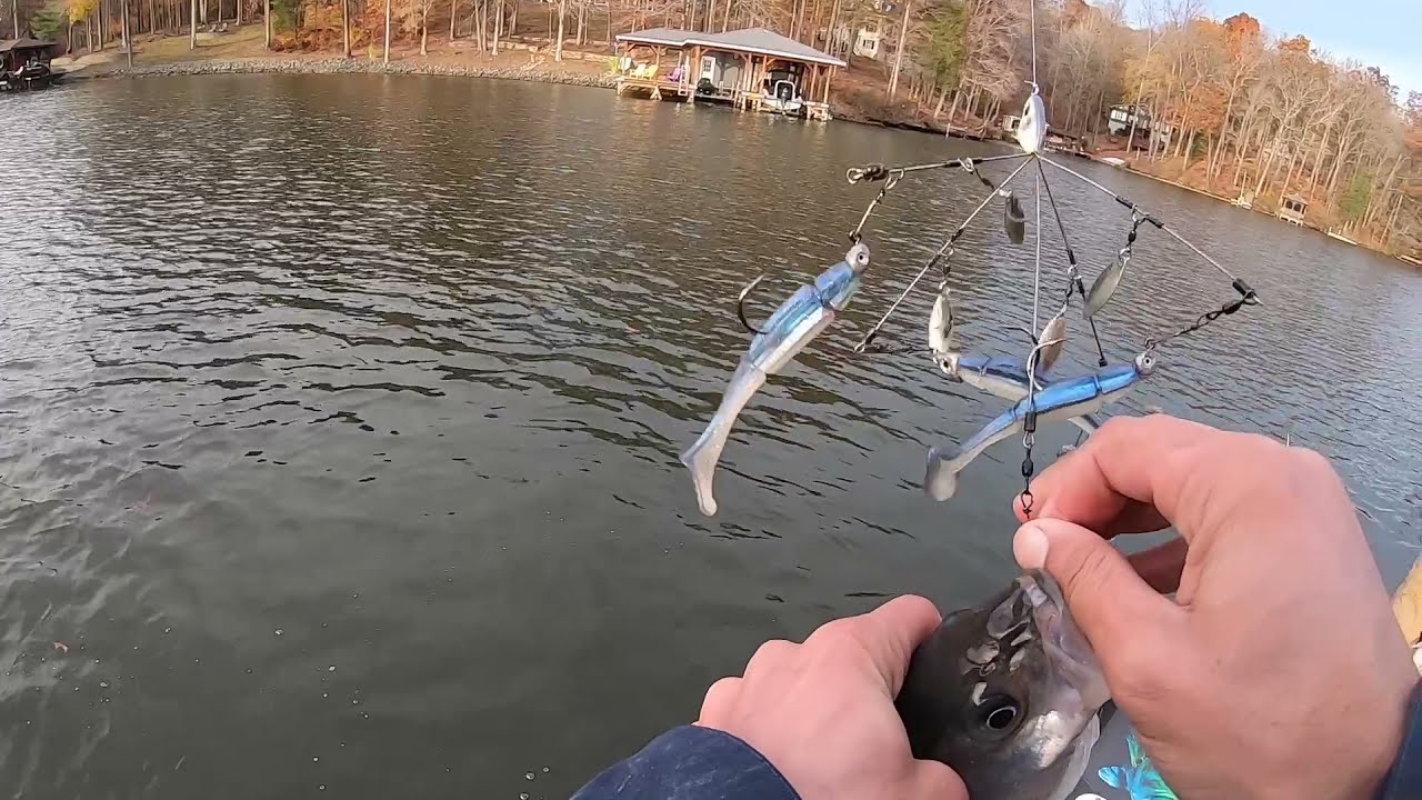 Lake Anna Striper Fishing 2021 YouTube