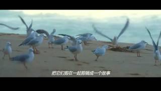 范晓萱 -  同步