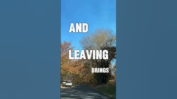 There are 3 solutions to every problem. #foryou #motivation #quotes #motivate #shorts #fyp.