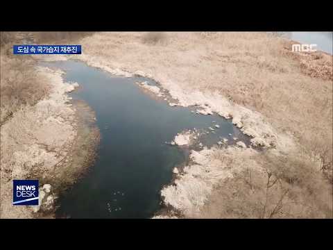 [뉴스데스크]<strong>황룡강</strong> 장록 &amp;#39;국가습지&amp;#39; 지정 추진