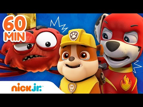 دوريات المخلاب | عمليات إنقاذ فرقة دوريات المخلاب الأضخم | Nick Jr. Arabia