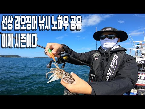 선상 갑오징어낚시 노하우 공유 (이제 시즌이다)