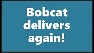 Bobcat, Brian B and Tackle Bandit!