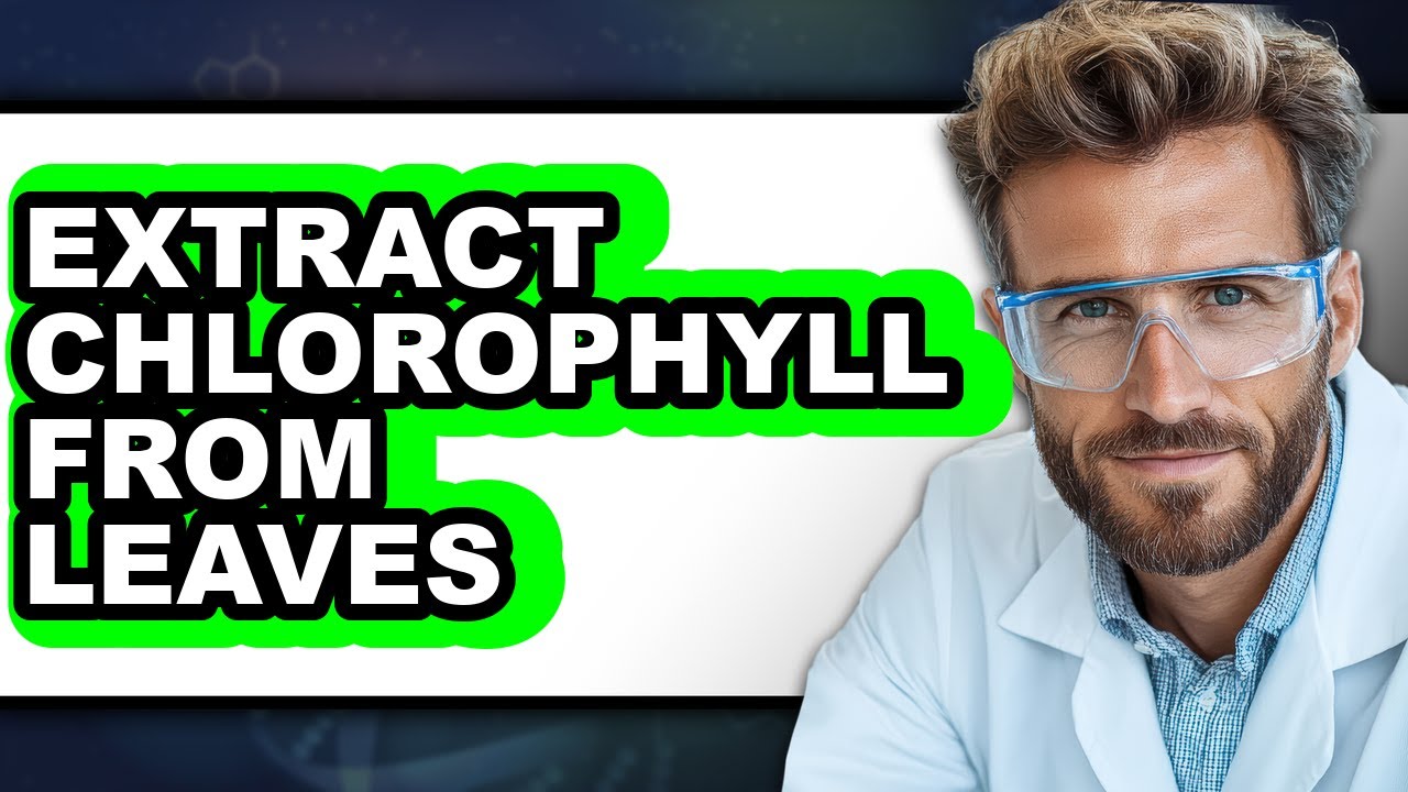 How to Extract Chlorophyll from Leaves (UPDATED)